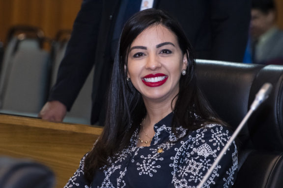 Assembleia Legislativa do Estado do Maranhão - 'Diário da Manhã